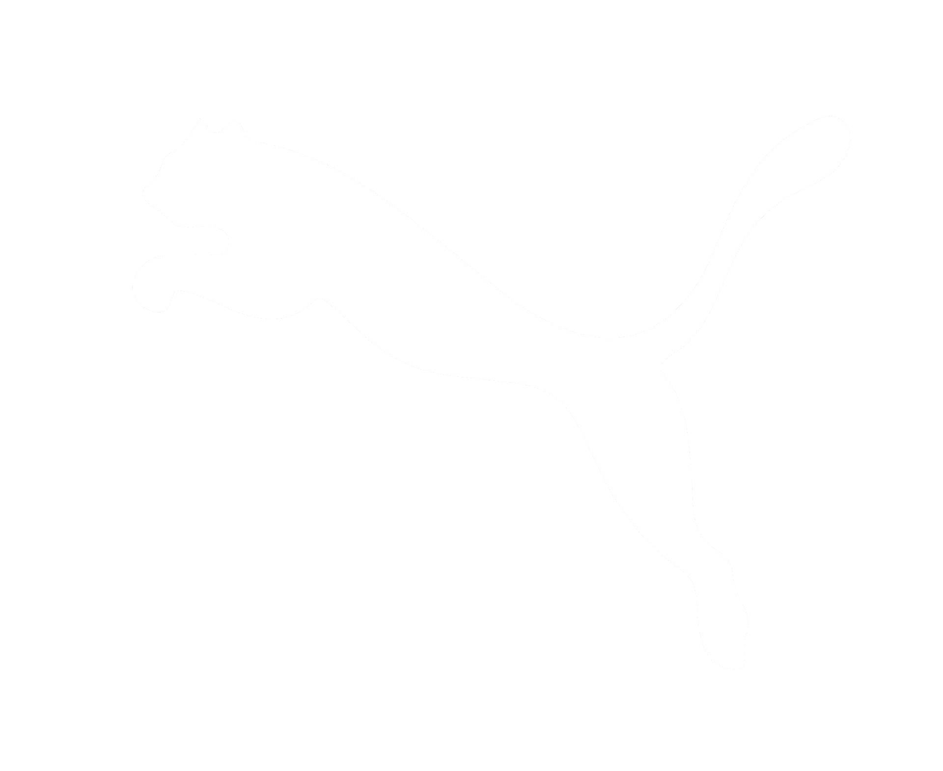 PUMA Paraguay