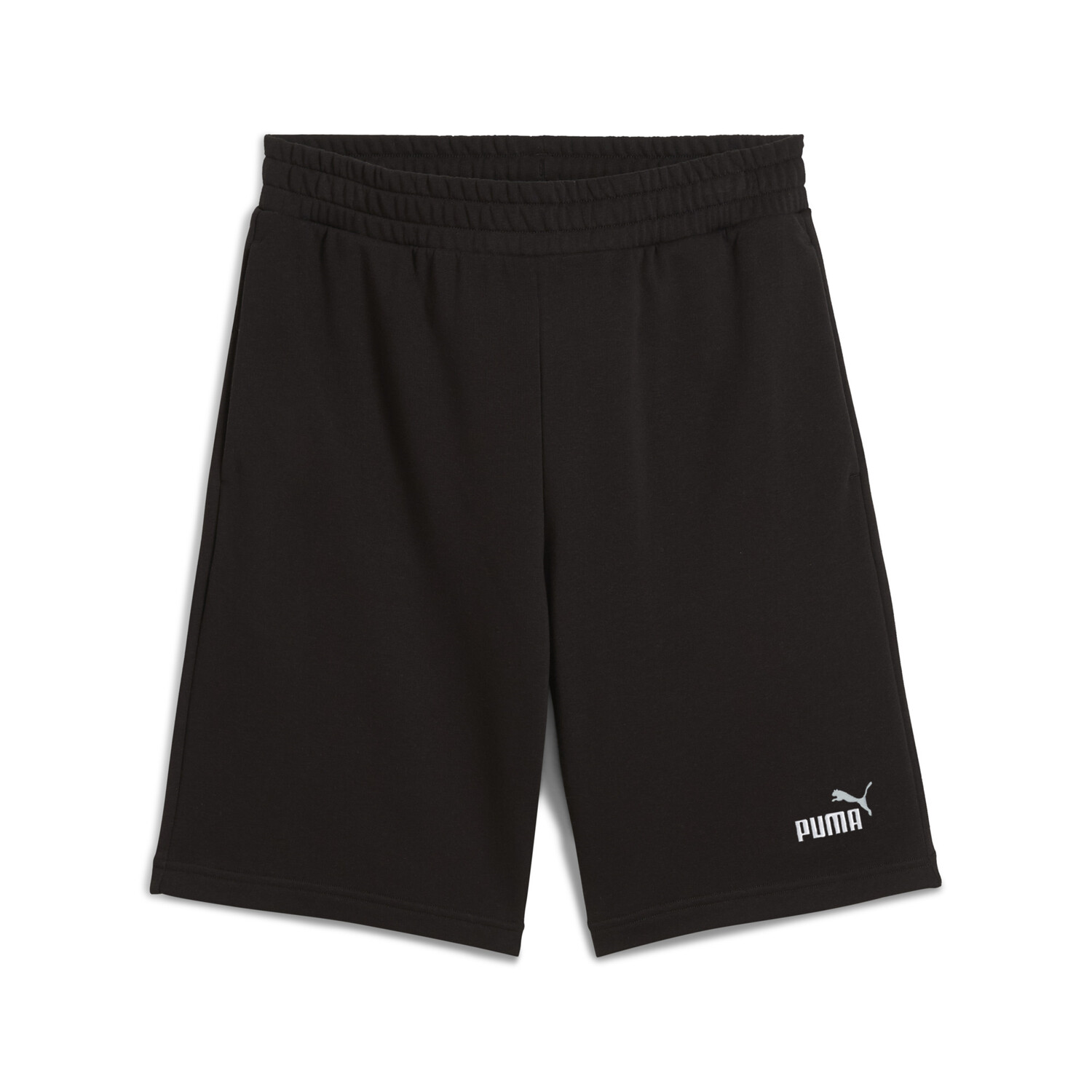 ESS 2 COLOR NO. 1 LOGO SHORTS 10' TR. 