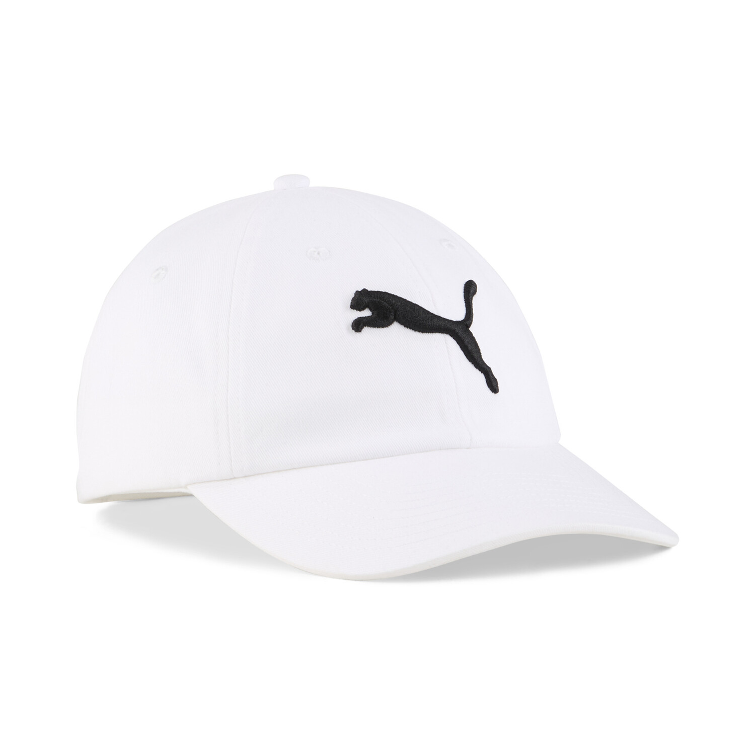 ESS PUMA CAT BB CAP #025998/02