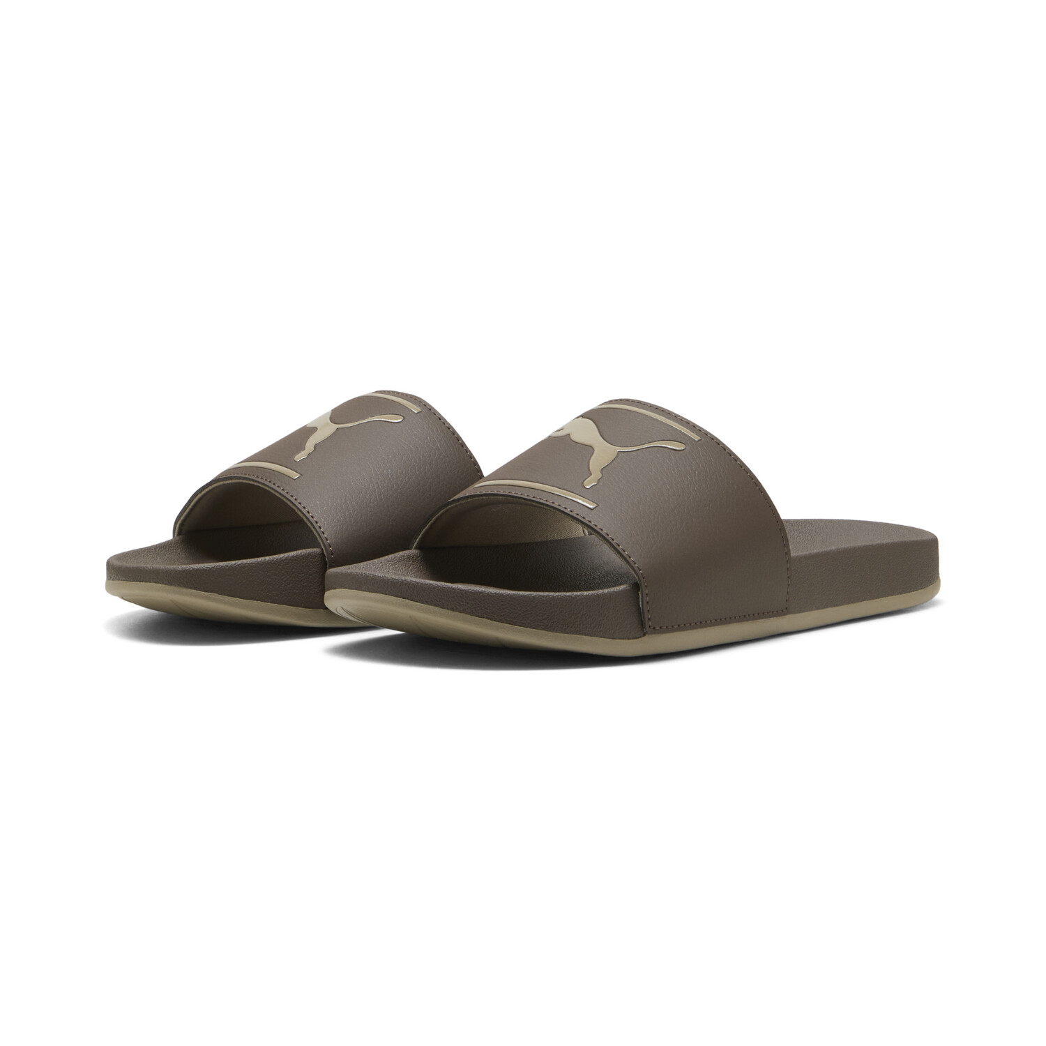 LEADCAT FTR COMFORT 