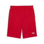 ESS 2 COLOR NO. 1 LOGO SHORTS 10' TR. 