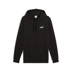 ESS 2 COLOR SMALL NO. 1 LOGO HOODIE TR. 