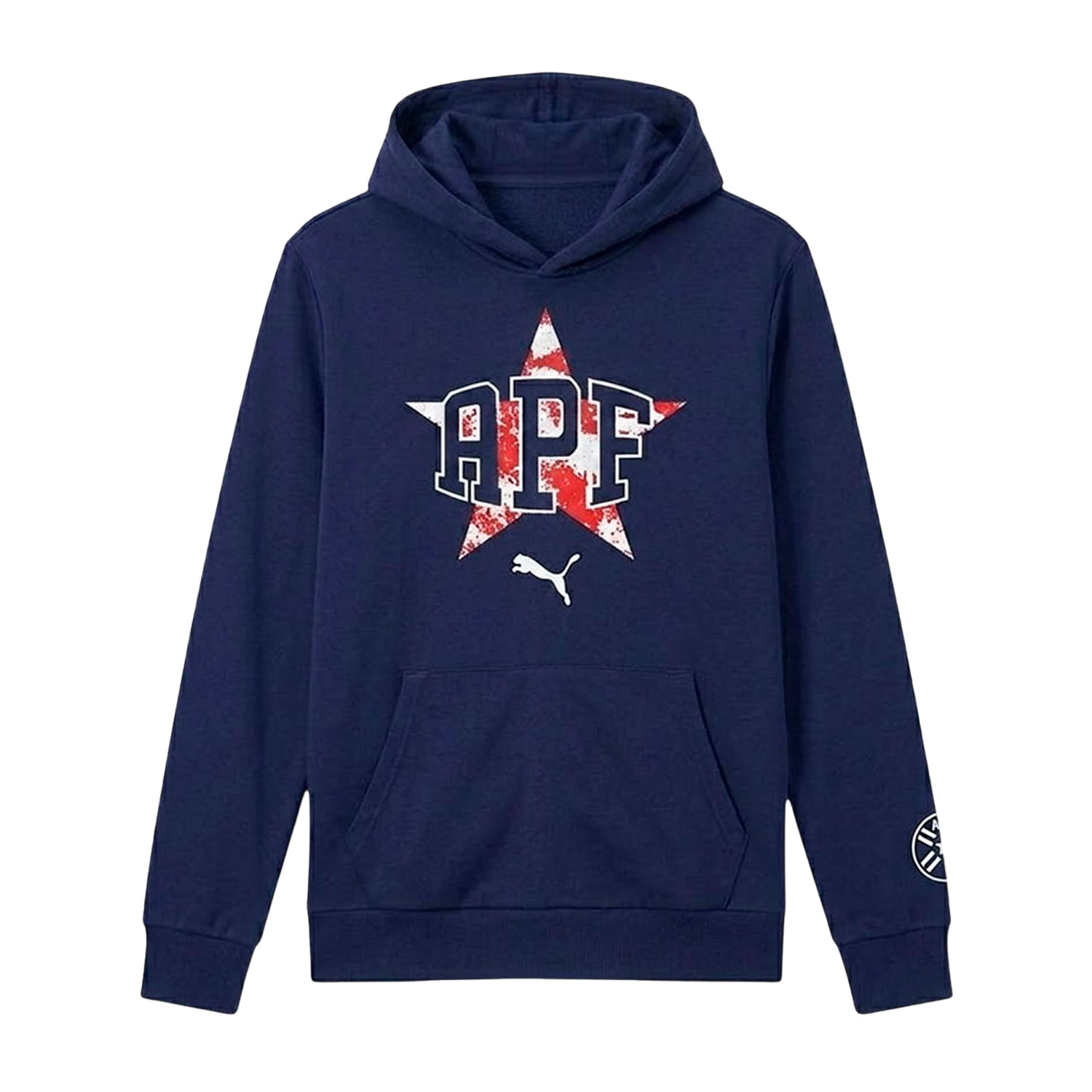APF HOODY TR 