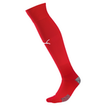 TEAMFINAL 21 SOCKS 